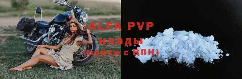 A PVP СК  Салават 